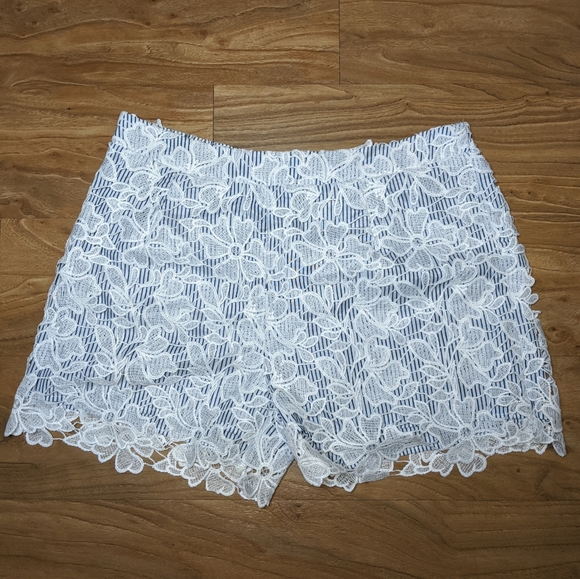 Adiva Pants - Adiva Crocheted Lace Pinstripe Shorts

Size Med